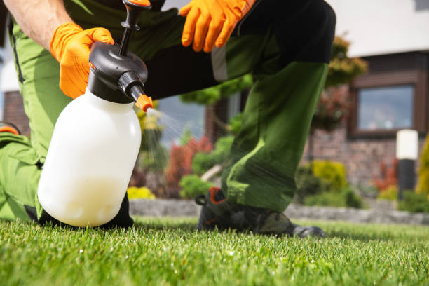 Best Mosquito Control Services  in South Bloomfield, OH