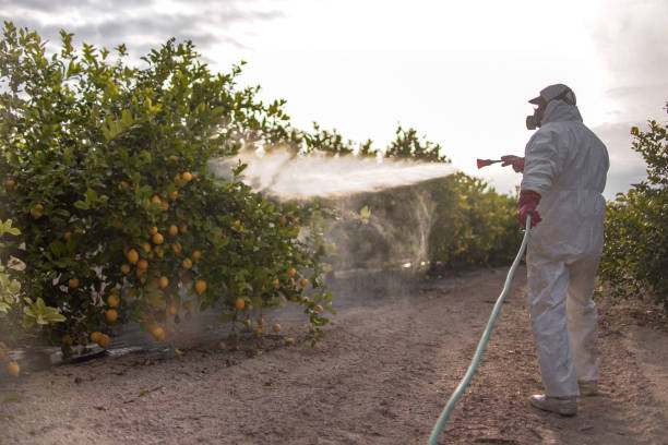 Best Best Pest Control Near Me  in South Bloomfield, OH