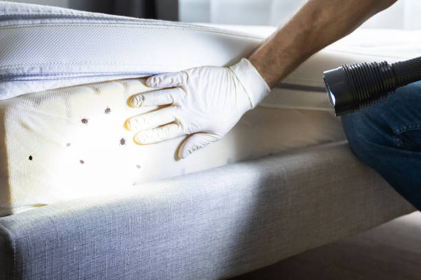  South Bloomfield, OH Pest Control Pros