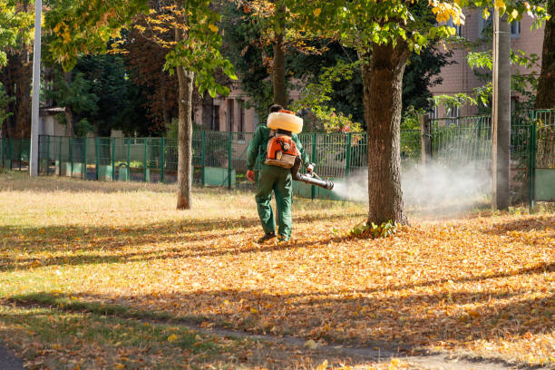 Best Flea Control Services  in South Bloomfield, OH