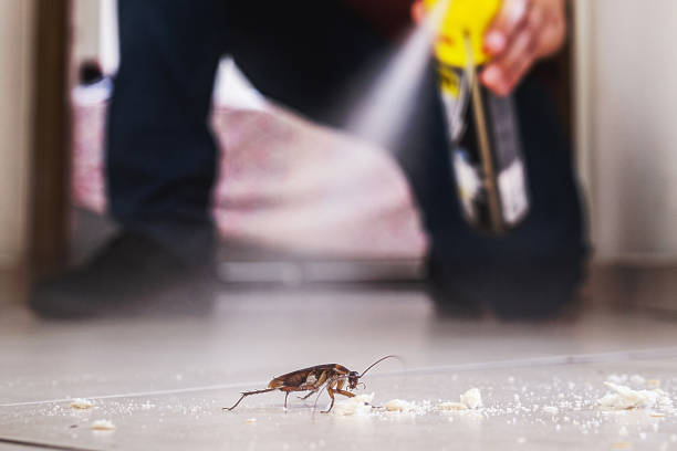 Best Pest Control Near Me  in South Bloomfield, OH