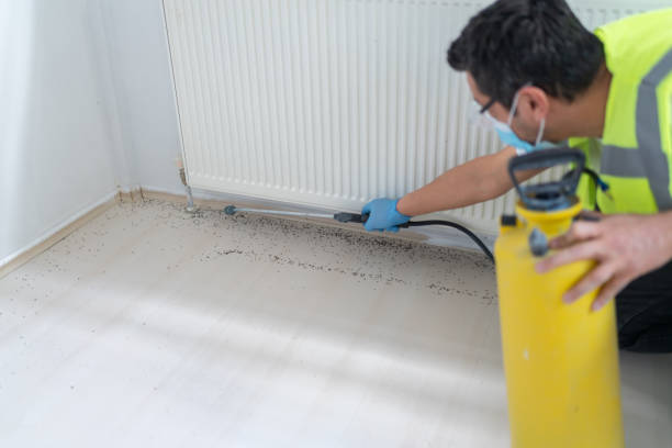 Best Pest Removal Services  in South Bloomfield, OH