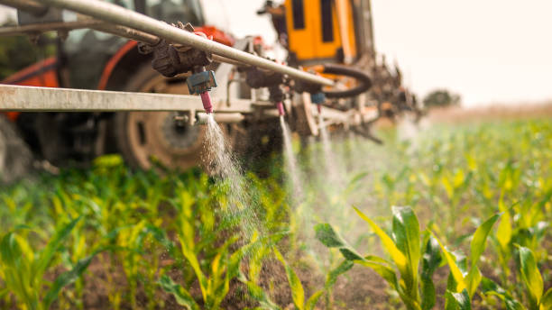 Best Mosquito Control Services  in South Bloomfield, OH